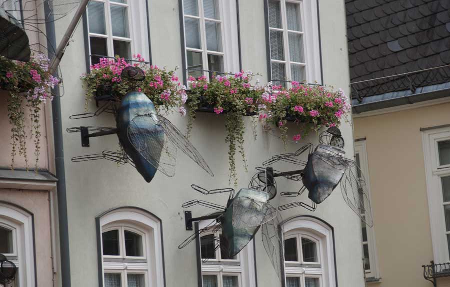 Fliegen an der Hauswand in derAltstadt von Marburg