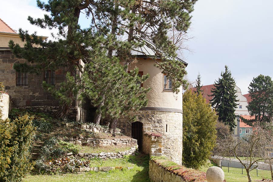 Garten im Dom zu Naumburg